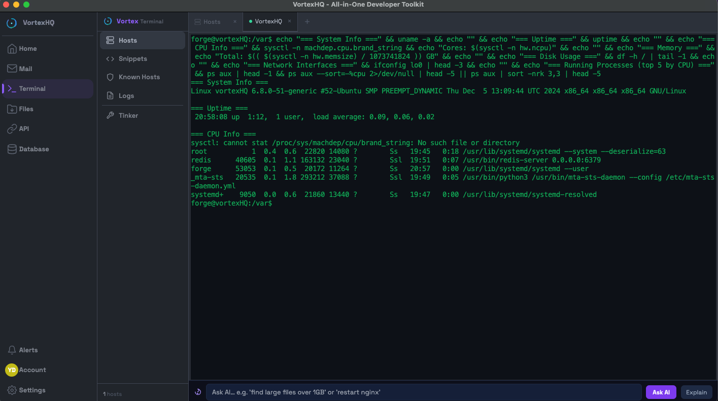 VORTΞXHQ — Terminal